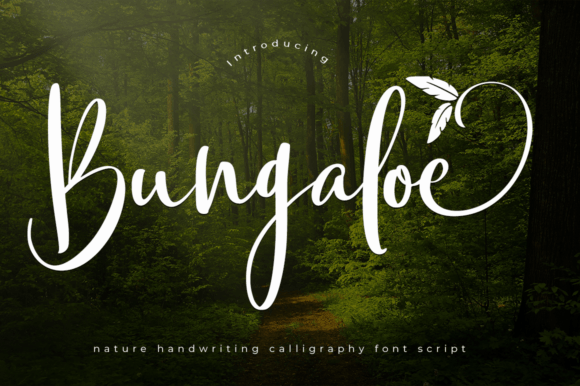 Bungaloe Font: Adding Grace to Editorial Design