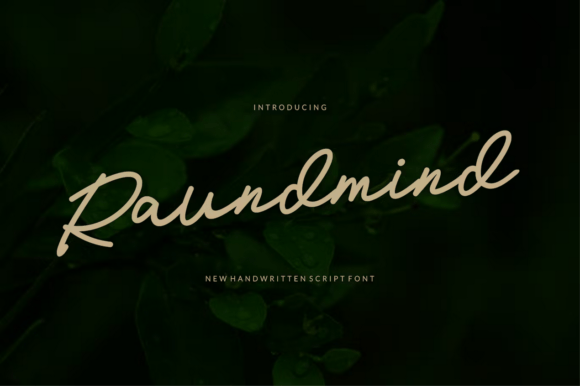 Raundmind Font: Playful Typography for Web Design
